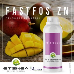 Fastfos Zn
