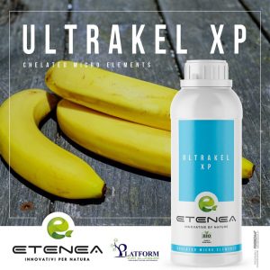 Ultrakel Xp